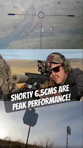 Shorty 6.5CM Is Peak Performance!