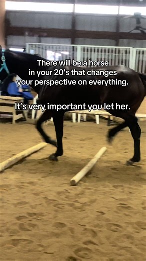 When I first got Katie, I thought working her seven days a week was the best way to overcome her hind-end “gait abnormality.” I rode her while she was skinny, unsound, and riddled with ulcers, because I genuinely believed if I did, she could improve. It wasn’t until burnout forced me to take a break where I realized she needed exactly what I did: kindness, rest, and time. I’m so grateful for the path this little mare led me down. I’m nowhere near the perfect trainer, and I have so much I still n