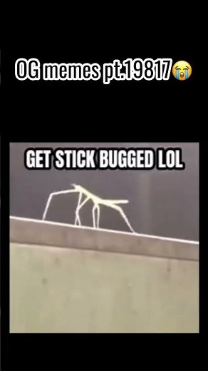 Stick bug meme