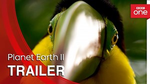 Planet Earth II, A Sequel to the Acclaimed BBC Documentary Narrated by David Attenborough