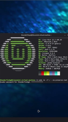 Linux Mint Kernel Panic