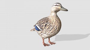 duck - Buy Royalty Free 3D model by Evermotion