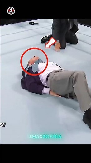 😈 Brock Lesnar Attacked Vince McMahon… Triple H Took Brutal Revenge in WWE shorts #wwe #brocklesnar