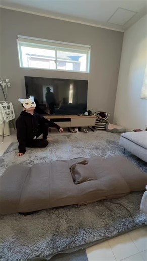 Flying Adventures with Friends and Pets