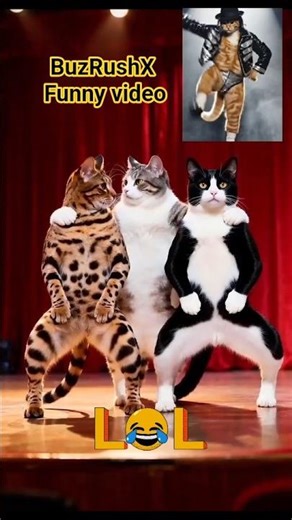 This Cat Dance Video Just Changed My Life 😹 #catvideos #viral #shorts