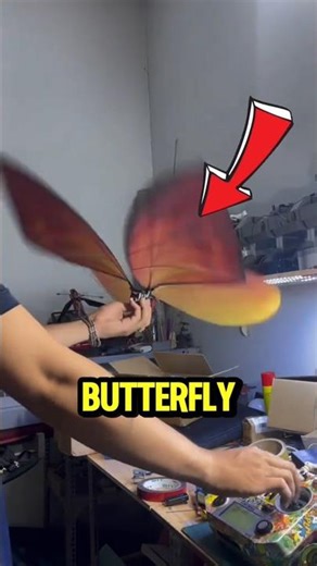 China's Secret Butterfly Drone