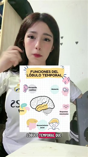 Solo podemos acceder al 10% de nuestro cerebro? 😱 #fyppppppppppppppppppppppp #anatomia #cienciaentiktok #teorias #biologia