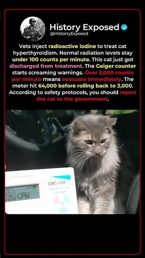 Why Your Cat Becomes a Walking Nuclear Reactor 🐱☢️