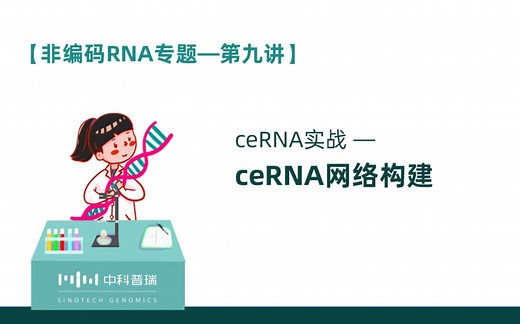 【非编码RNA专题】第九讲_ceRNA实战—ceRNA网络构建