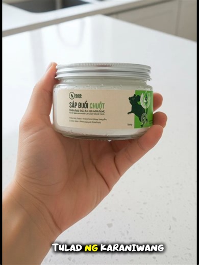 “Ang daga ay naaakit sa amoy ng pagkain, langis, at mga sangkap na natural sa wax na ito.” #DagaSaBahay 🐭#RatControlPH #HomeCarePH #RatKillerPoisonWax #RatControlWax #RatControlWaxPH #RatSolutionPH