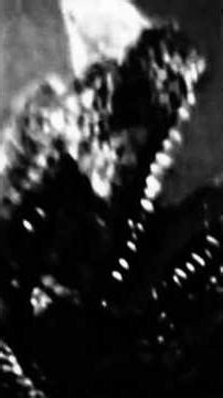 Mis pensamientos de la indominus rex de Jurassic World #jurassicworld