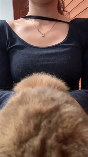 😊 "CAT'S GREATEST MISTAKE! 😅 Shy Kitten's BIG Surprise! #CatFails #KittenAdventures #viral #trending