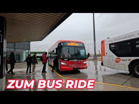 ZUM Brampton Transit 511 Bus Ride: Humber College Terminal to BRAMALEA Go Station 