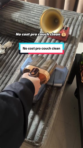No Cost Professional Couch Cleaning Tips