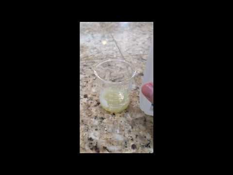 Grape DNA extraction