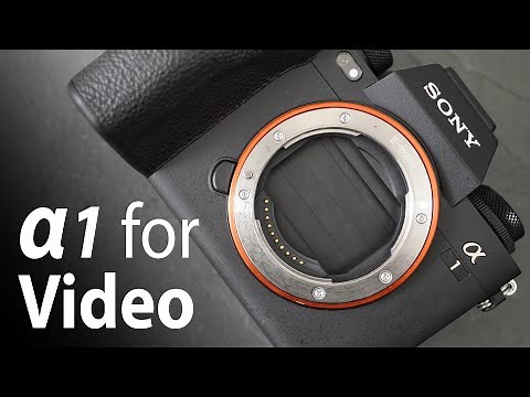 Sony Alpha 1 MOVIE quality vs EOS R5 review 6 months