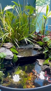 Pretty little AquaGarden Mini Pond Kit! 😍 Bring nature inside with you this season! #pond #mini #inspiration #nature | Aquascape Inc.
