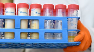 Qué es el Fipronil y cómo actúa