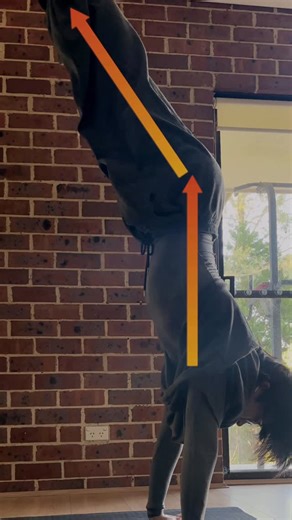 Sean on Instagram: "You might as well just not train if you never understand how the skill you’re training for works. DM me ‘MASTERY’ if you want to learn what other mistakes you’re potentially making. #calisthenics #workout #fitness"