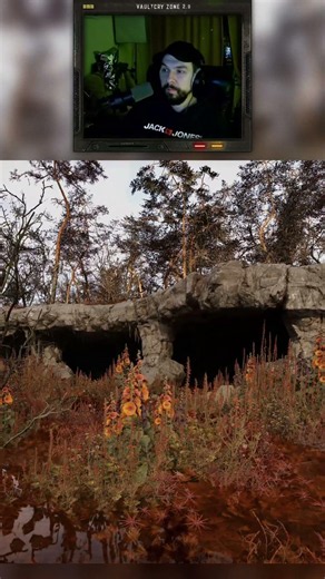 Mallows in the Red Forest. STALKER 2