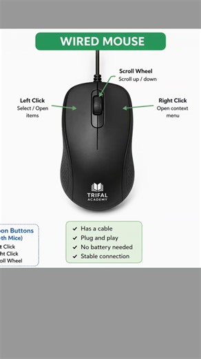 What are Wireless and Wired Mouse: How to use Mouse? What is a computer mouse?