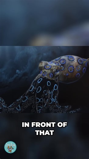 2.3K views · 41 reactions | Let's simplify octopus painting! We’ll show you how to break your painting into manageable sections, focusing on small areas for better outcomes. One leg at a time. Small, bite-sized chunks and just focus on one little area. #OctopusPainting #PaintingTutorial #ArtTips #AcrylicPainting #BeginnerArt #SeaCreatureArt #ArtForBeginners #PaintingTechniques #StepByStepArt #ArtLesson | Lachri Fine Art | Facebook