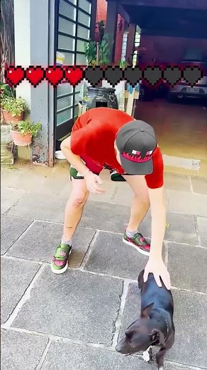 TUDO ME TIRA VIDA VERMELHO