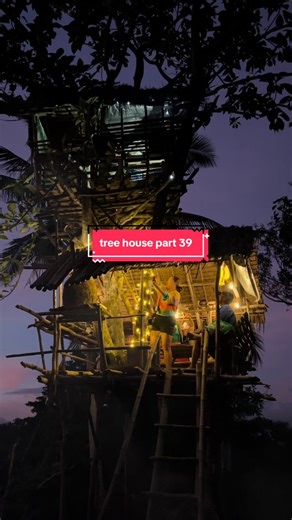 Tree House Adventures Part 39: Life in the Province