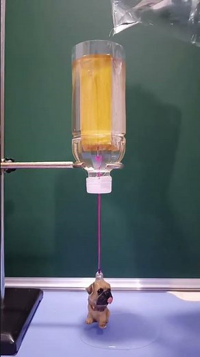 Fun desktop buoyancy experiment #buoyancyexperiment #floatorsink #scienceforkids