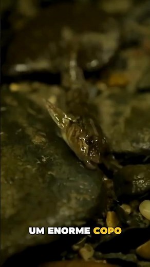They WALK on the ocean floor without getting WET 😳🌊 #curiosities #shorts #engineering
