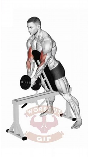 biceps workout gif #shorts