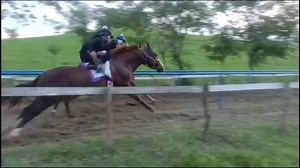 10K views · 435 reactions | El mimo vs la ranchería Cdra arroyo venado Cdra nuevo imperio Ganando el mimo 200 varas Carriles arroyo camalote san Lucas Ojitlán Martes 29 de agosto #camaratuxtepec | Cámara Tuxtepec | Facebook