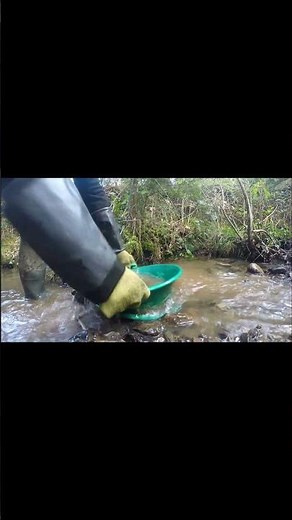 Gold Classifier in Action — Quick Tips for Fast Panning!