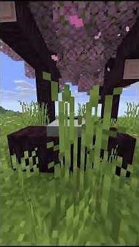 New Structure Maps And Concrete Blocks #minecraft #minecraftrealistic #bedrock
