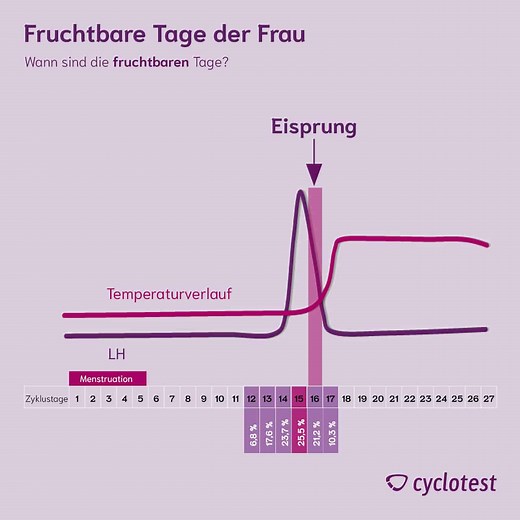 Schneller schwanger werden mithilfe eines Eisprungrechners | cyclotest