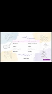 L’un des premières théories d’apprentissage ( Le behaviorisme ou théorie comportementaliste) ) | Prof. Zine El Abidine