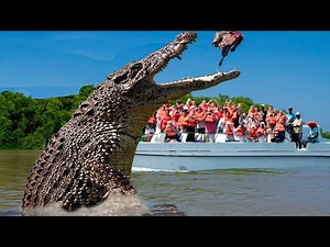 10 BIGGEST Crocodiles In The World!