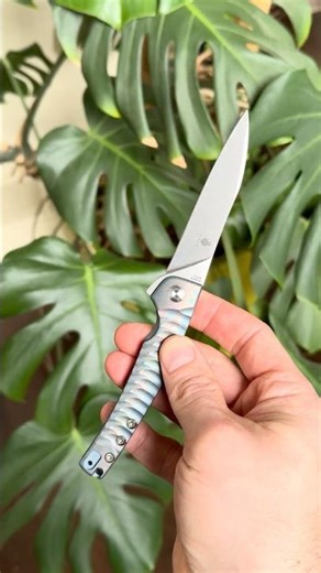 Kizer Splinter Tomcat Knives S35VN Titanium Framelock Folder Added Jimping Mod Slim Flipper #edc