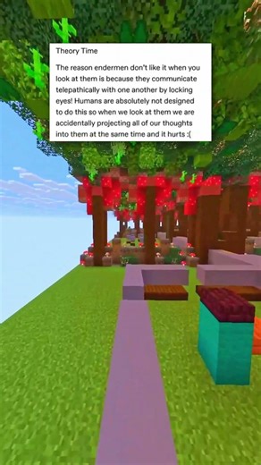 the minecraft enderman theory 🤔