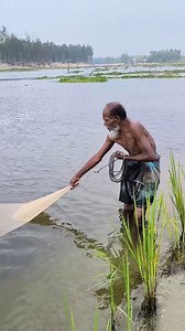 River Net Fishing Videos | Fisher Village