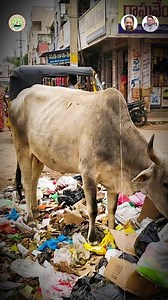 4.1K views · 74 reactions | ♻️ Keep Vizag Clean: Segregate Waste,...