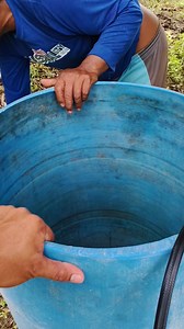 1st step | Mango Spray #followershighlights2026 #mangofarm2026 | Tropang Mike