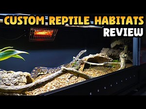 Custom Reptile Habitats Review!