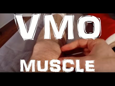 How To Activate The VMO Muscle To Prevent Knee Pain By Doing These Exercises!