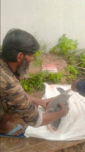 🙏🙏🙏🙏🙏🙏👍🏻👍🏻👍🏻👍🏻👍🏻