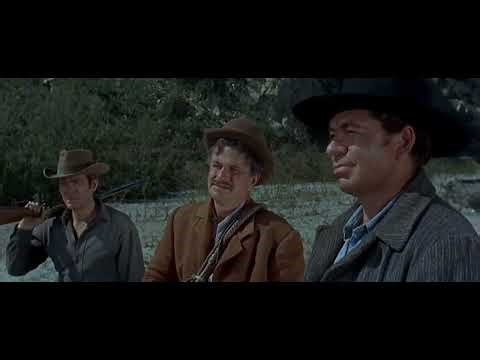 Happy Birthday To The One & Only Tom Simcox 💙🐎💙🐎💙🐎💙