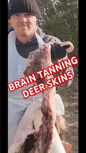 PRIMITIVE BRAIN TANNING | in Under a Minute