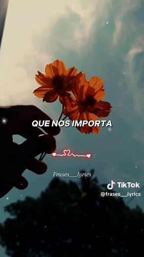 Será Porque Te Amo – Ricchi e Poveri (canción en español)