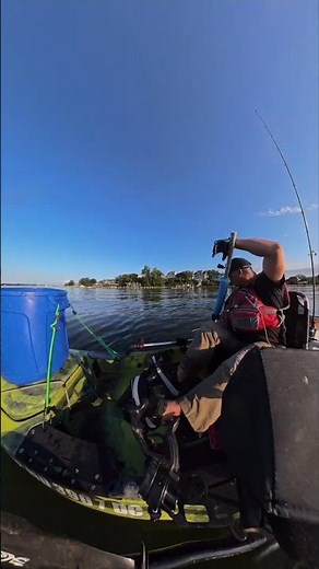 Kayak Crabbing For Maryland Blue Crabs