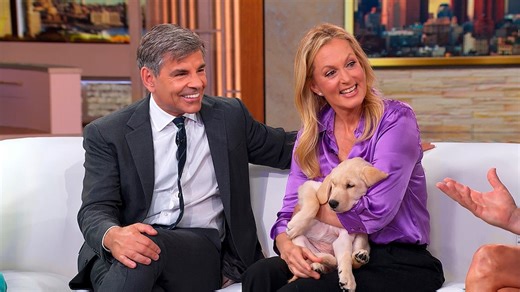 George Stephanopoulos, Ali Wentworth welcome new furry family member